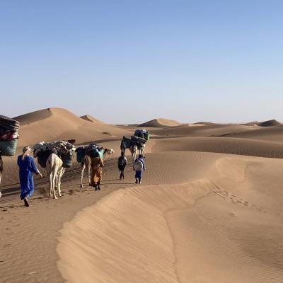 caravane dans le désert