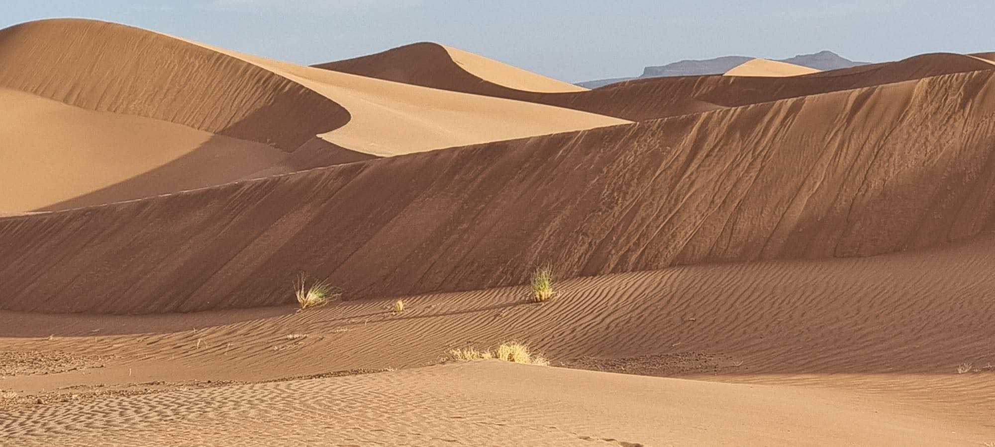 milieu du désert de sable