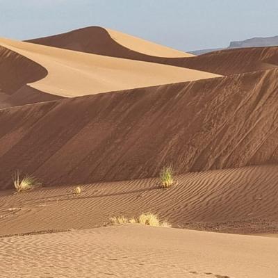 milieu du désert de sable