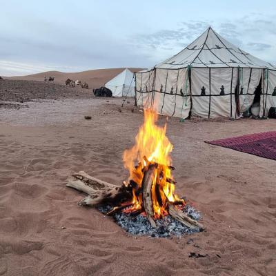 bivouac dans le désert